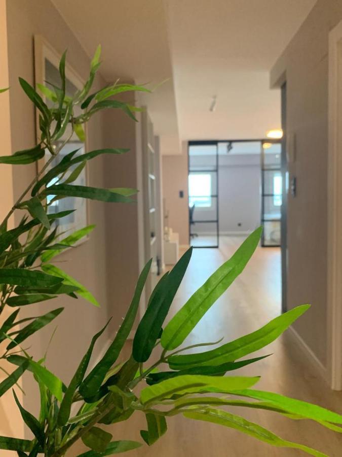 Espectacular Loft Lleno De Luz Y Espacio! Zaragoza Luaran gambar